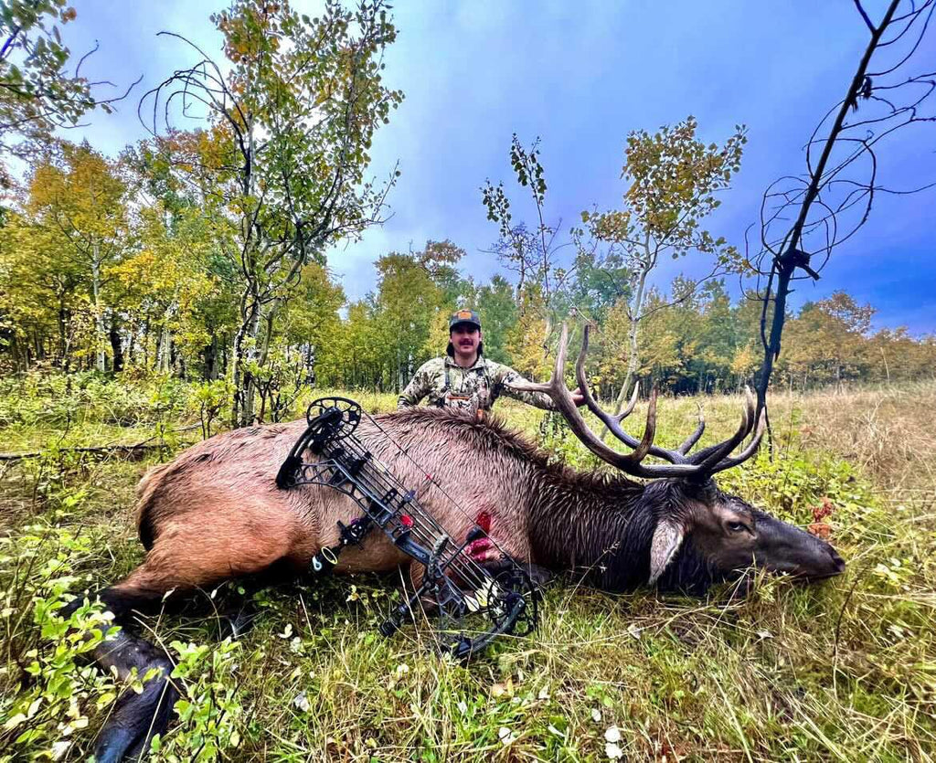 TOTA | 100 grain broadhead | 1-inch solid | fixed blade 3pack