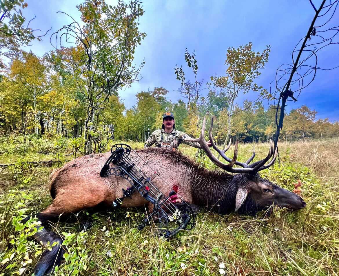 TOTA | 100 grain broadhead | 1-inch solid | fixed blade 3pack